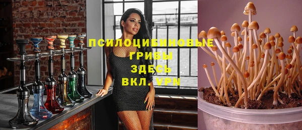 спиды Алзамай