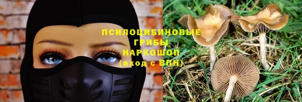 спиды Алзамай