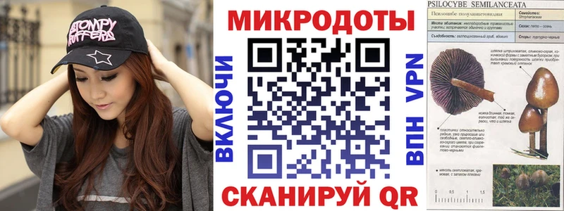 Галлюциногенные грибы прущие грибы  Грязовец 