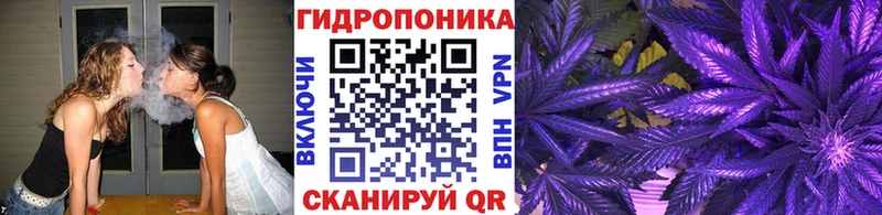 Бошки марихуана планчик  Грязовец 